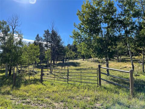 Unimproved Land in Florissant CO Homestake Place.jpg