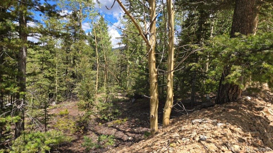 Lot 6803 Ryland Road