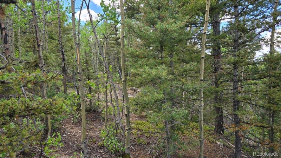 Lot 6803 Ryland Road