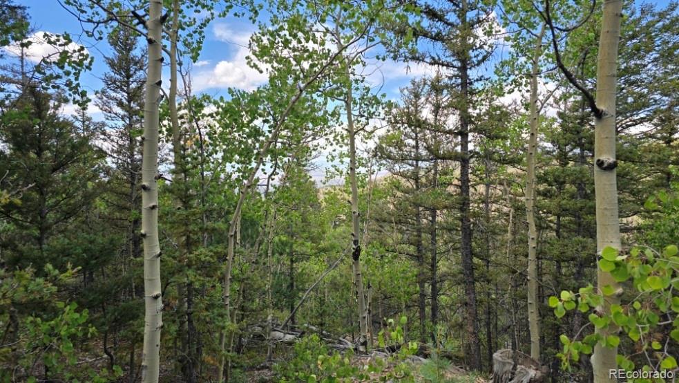 Lot 6803 Ryland Road