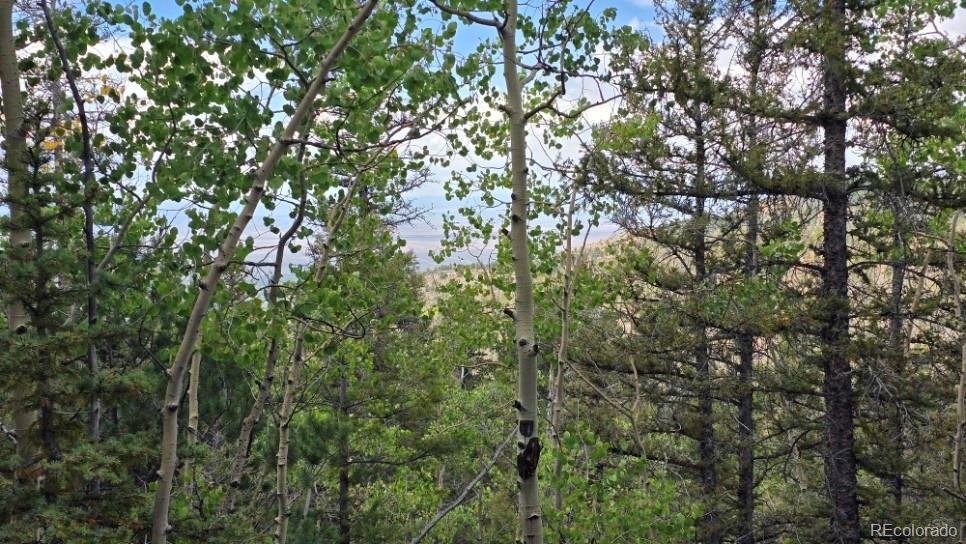 Lot 6803 Ryland Road