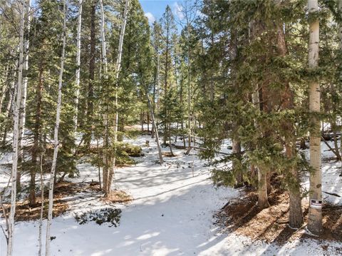 358 Pawutsy Road Florissant CO 80816