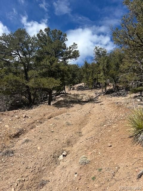 143 Ive Place Cotopaxi CO 81223