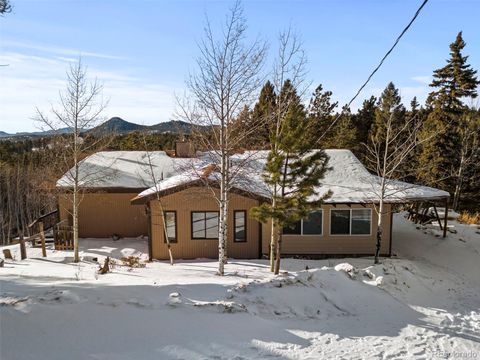 371 Rangeview Road, Divide, CO 80814 - #: 5271832