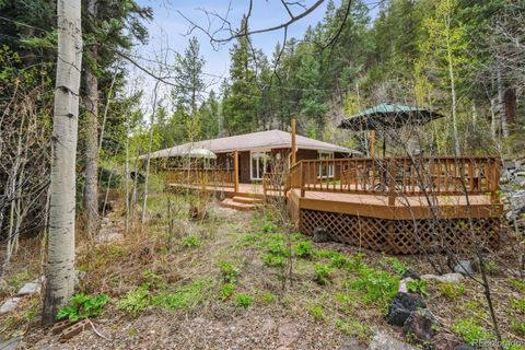 28 Picture Mountain Way, Dumont, CO 80436 - #: 2101939