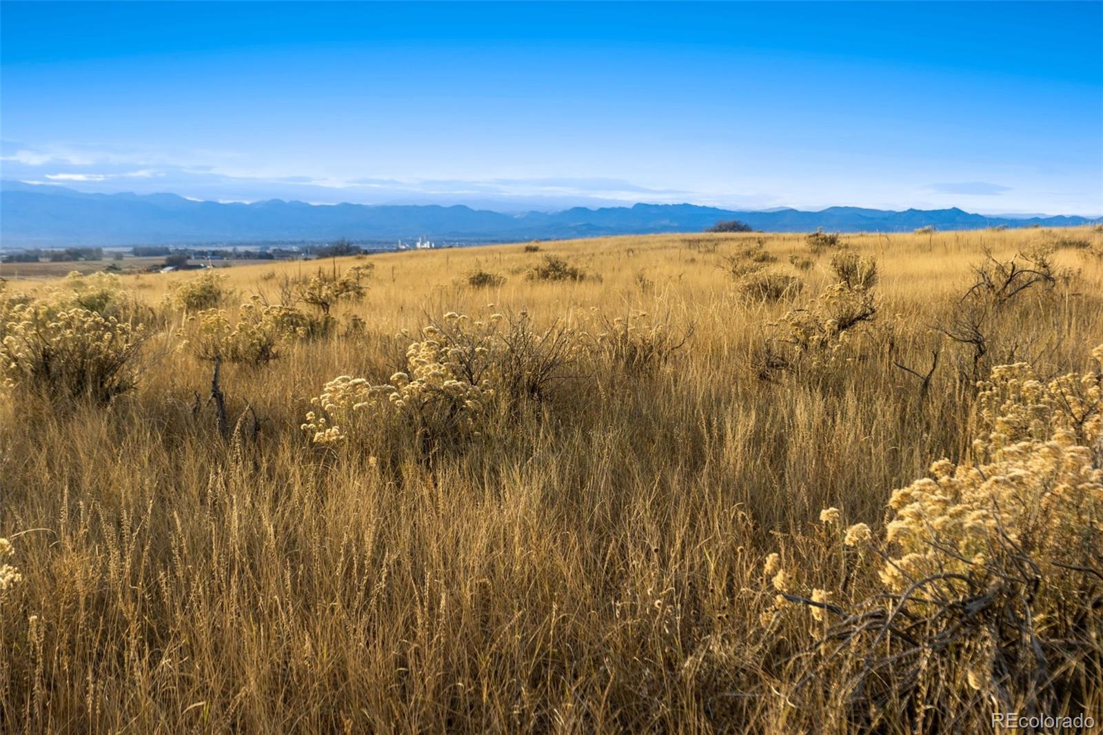 7899 County Road 84 - Lot 8