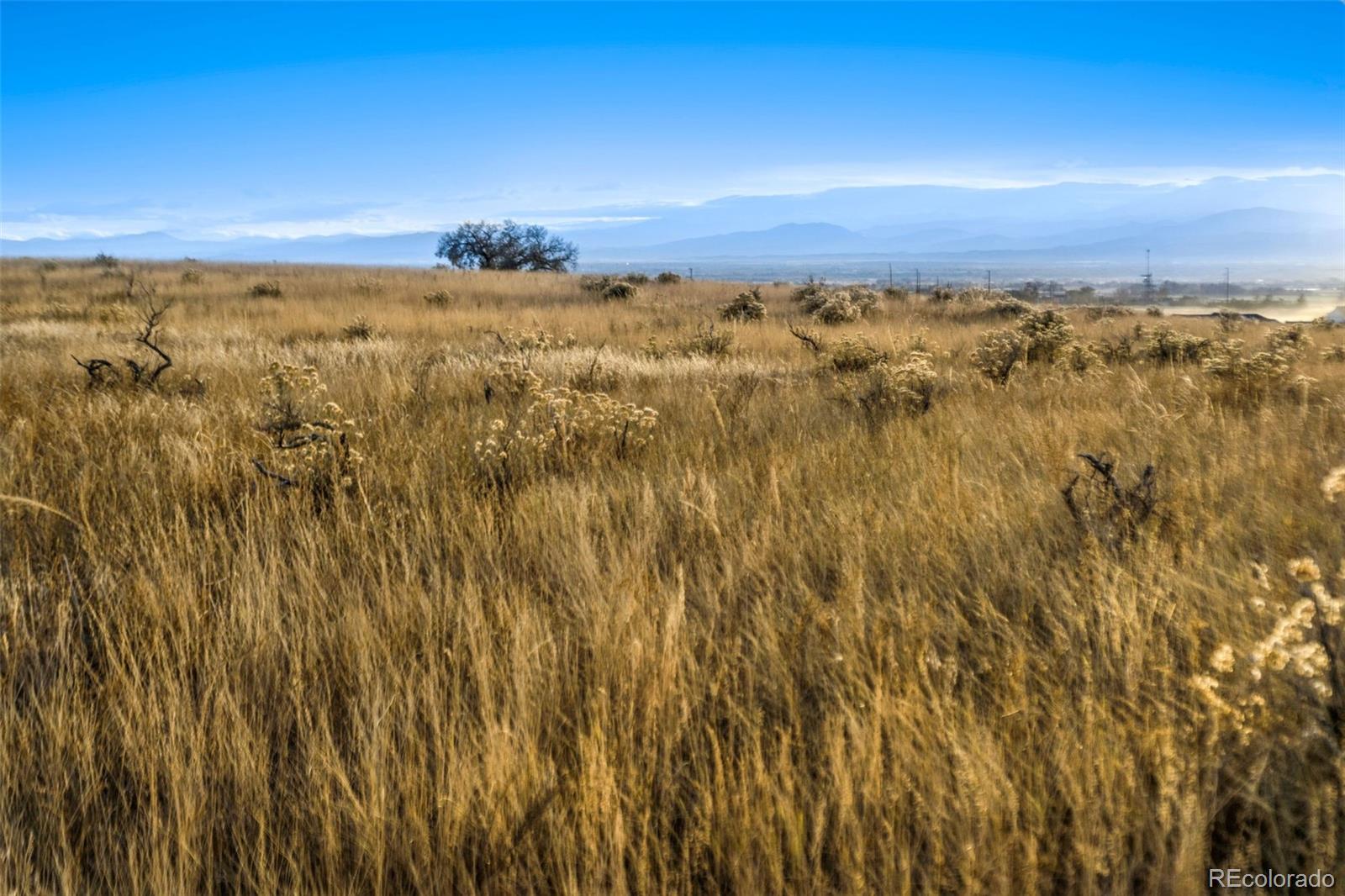 7899 County Road 84 - Lot 8