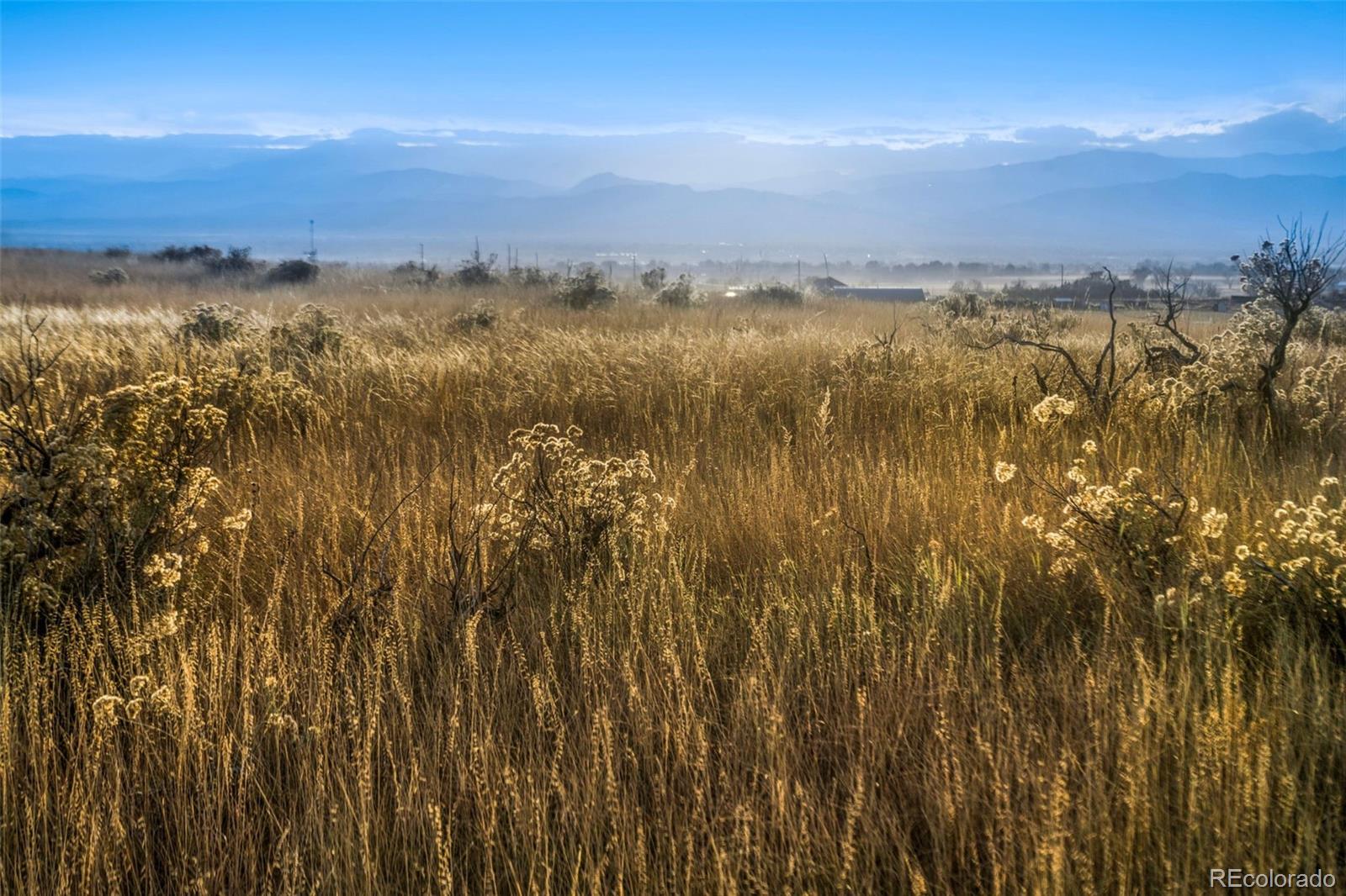 7899 County Road 84 - Lot 8