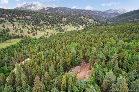 3450 Smith Hill Road Black Hawk CO 80422