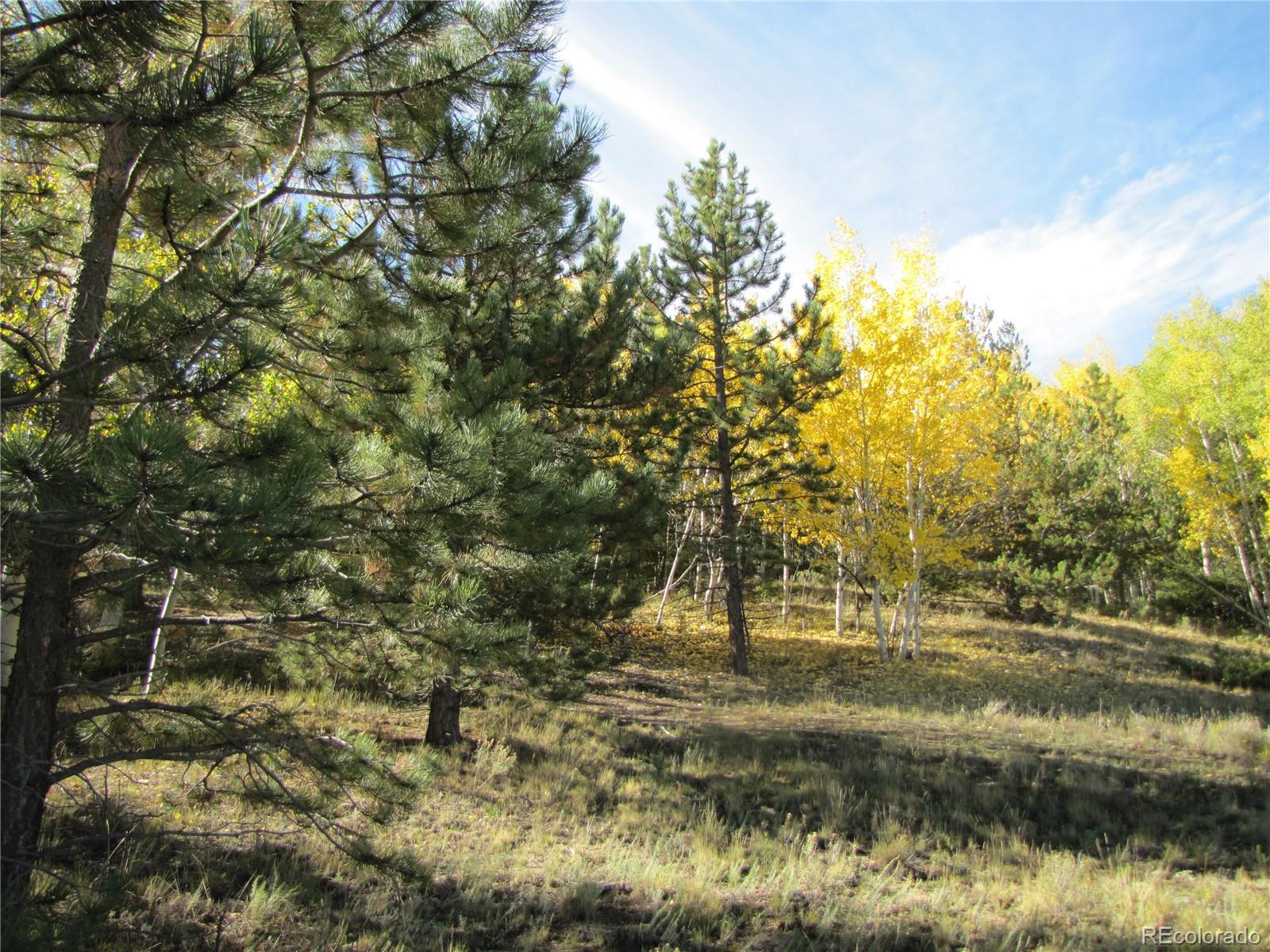 Lot 699 Campfire Road