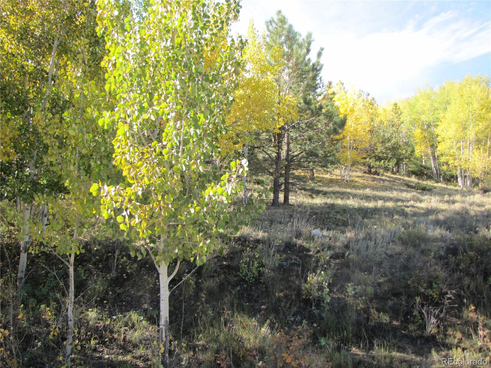 Lot 699 Campfire Road