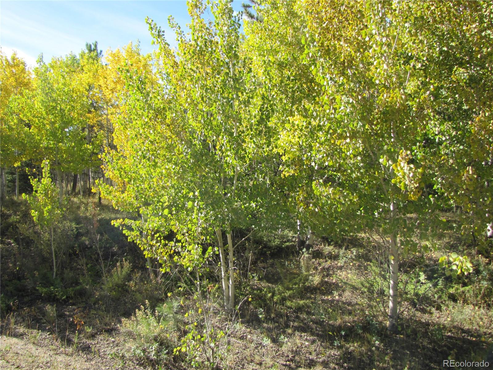 Lot 699 Campfire Road