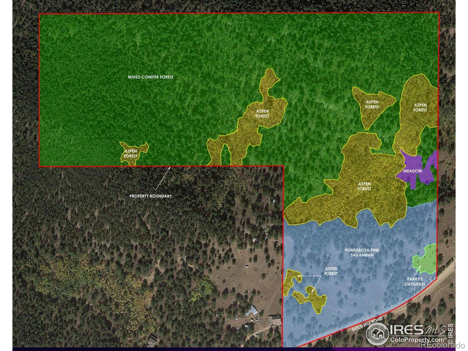 11320 Gold Hill Road