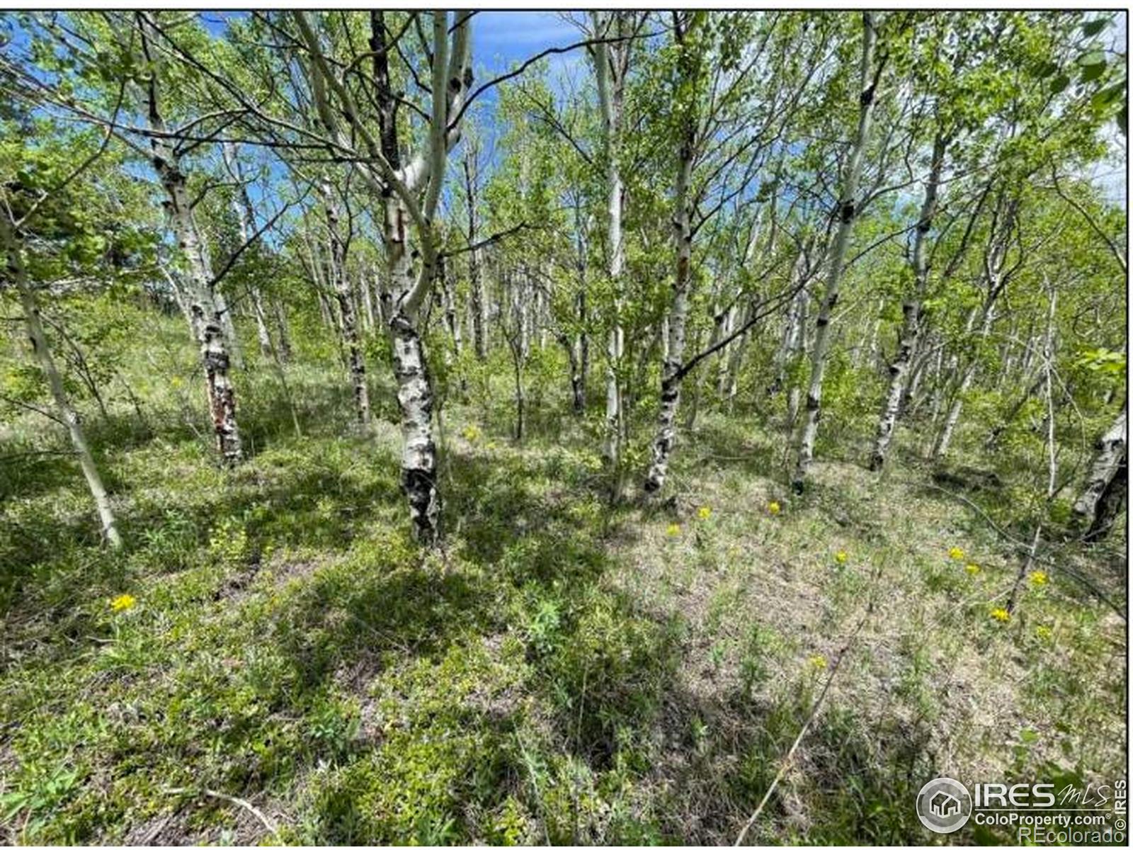 11320 Gold Hill Road