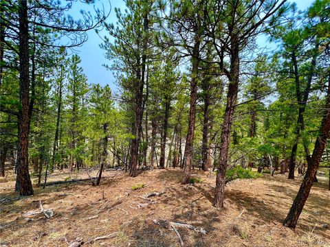 Unimproved Land in Florissant CO 000 Corral Lane 6.jpg