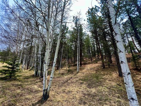 Unimproved Land in Florissant CO 000 Corral Lane 4.jpg