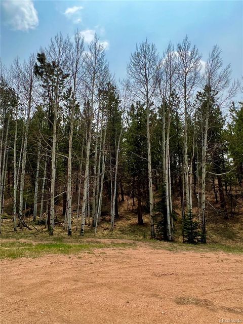 Unimproved Land in Florissant CO 000 Corral Lane 2.jpg