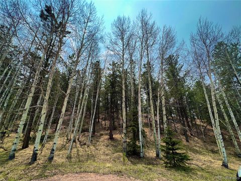 Unimproved Land in Florissant CO 000 Corral Lane 1.jpg