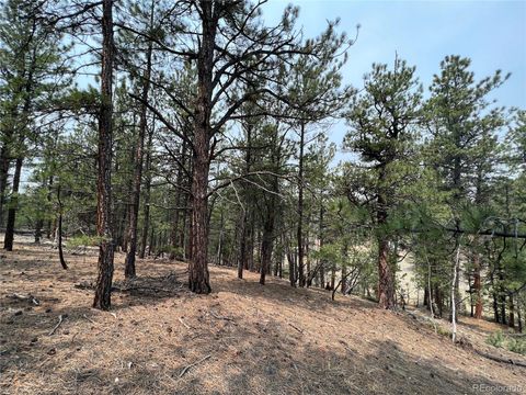 Unimproved Land in Florissant CO 000 Corral Lane 10.jpg