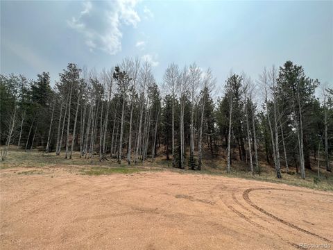 Unimproved Land in Florissant CO 000 Corral Lane 3.jpg