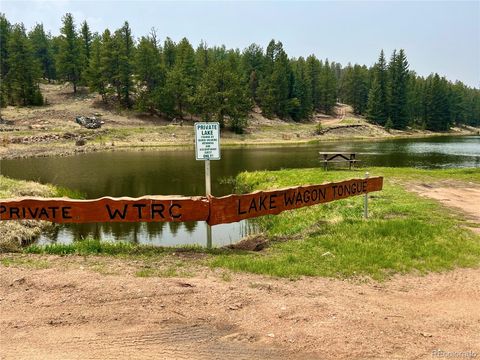 Unimproved Land in Florissant CO 000 Corral Lane 16.jpg