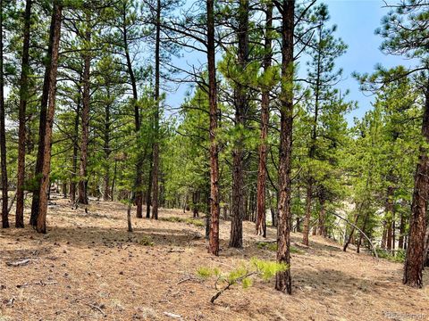 Unimproved Land in Florissant CO 000 Corral Lane 9.jpg