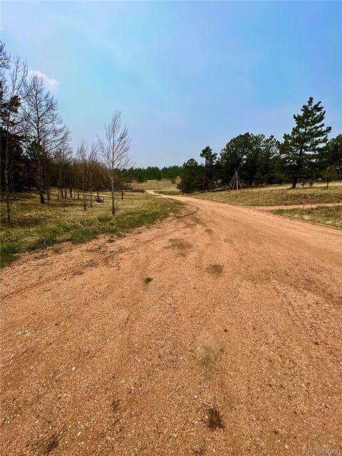 Unimproved Land in Florissant CO 000 Corral Lane 11.jpg