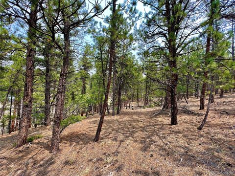 Unimproved Land in Florissant CO 000 Corral Lane 8.jpg