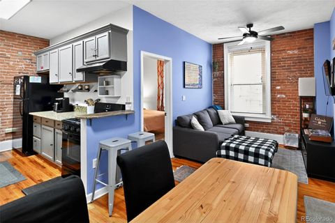 1608 Miner Street 2 Idaho Springs CO 80452