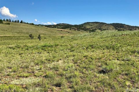 Unimproved Land in Hartsel CO 290 Aspen Trail 2.jpg