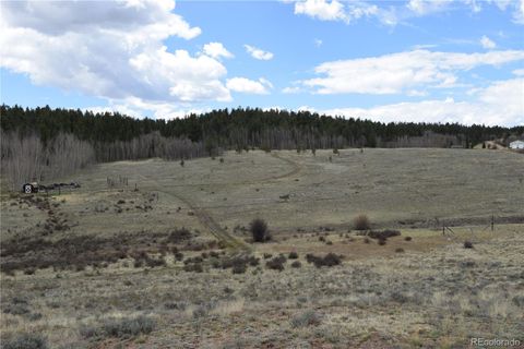 Unimproved Land in Hartsel CO 290 Aspen Trail 8.jpg