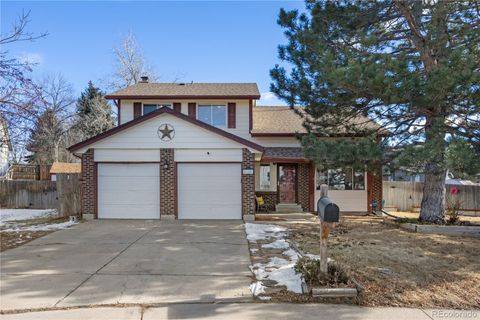 Photo of 648 S Kalispell Way, Aurora, CO 80017 (MLS # 4383305)