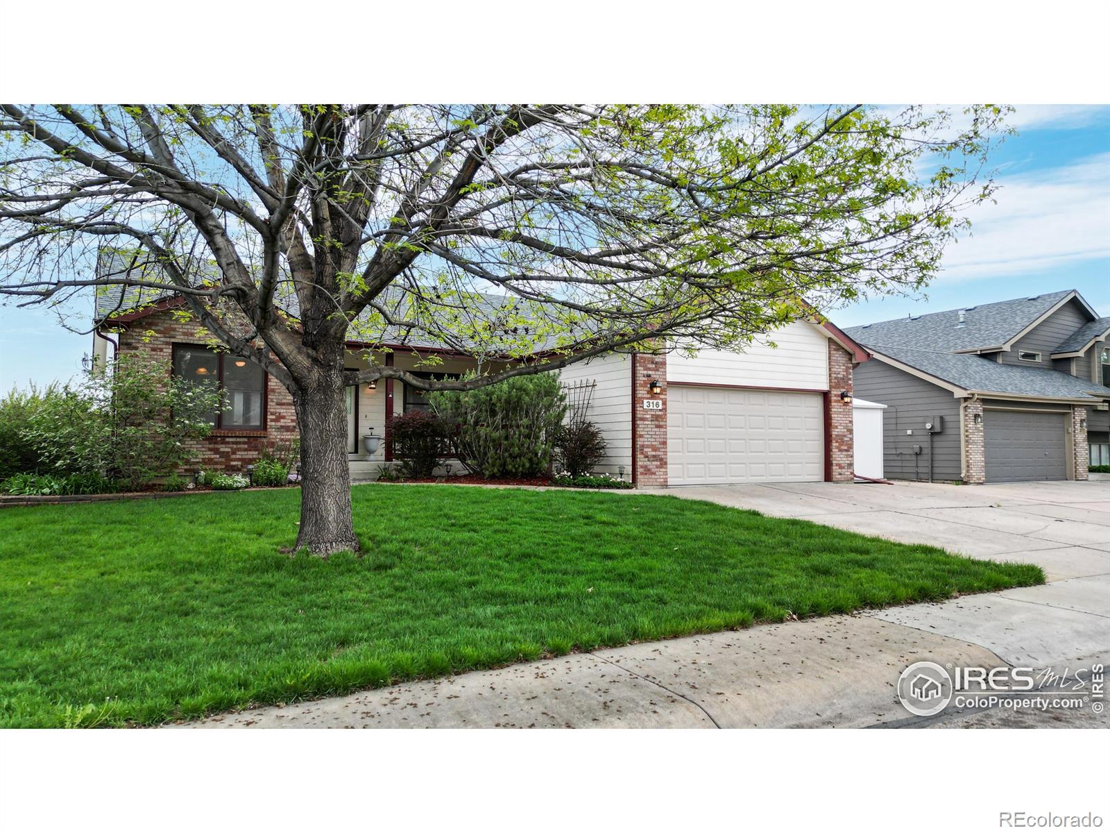 316 Albion Way, Fort Collins, CO 80526 - MLS#: IR988226