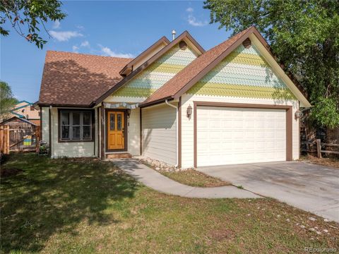 120 S San Juan Avenue Buena Vista CO 81211