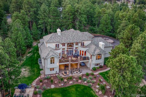Photo of 1892 Lake Drive, Larkspur, CO 80118 (MLS # 5340655)