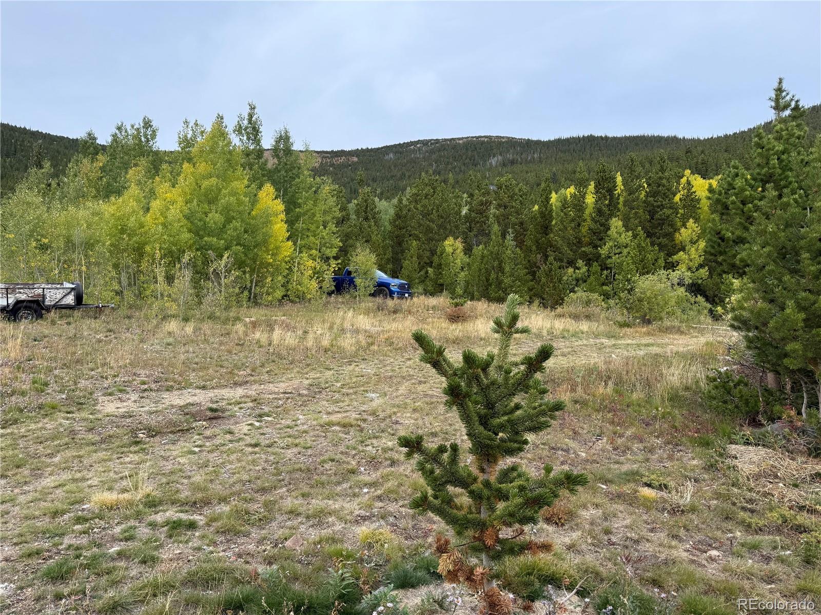 Lot 558 Little Creek Road
