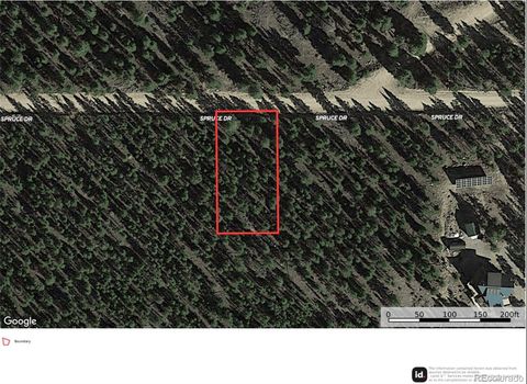 852 Spruce Drive Twin Lakes CO 80461