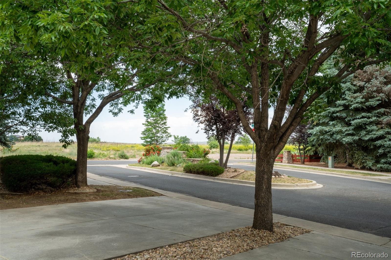 689 Wild Ridge Lane