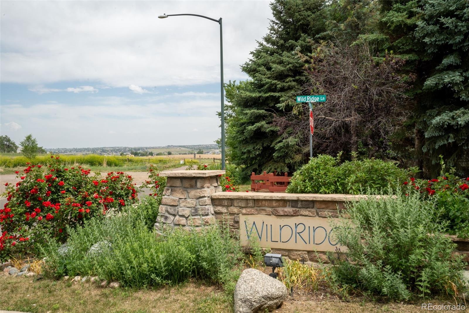 689 Wild Ridge Lane