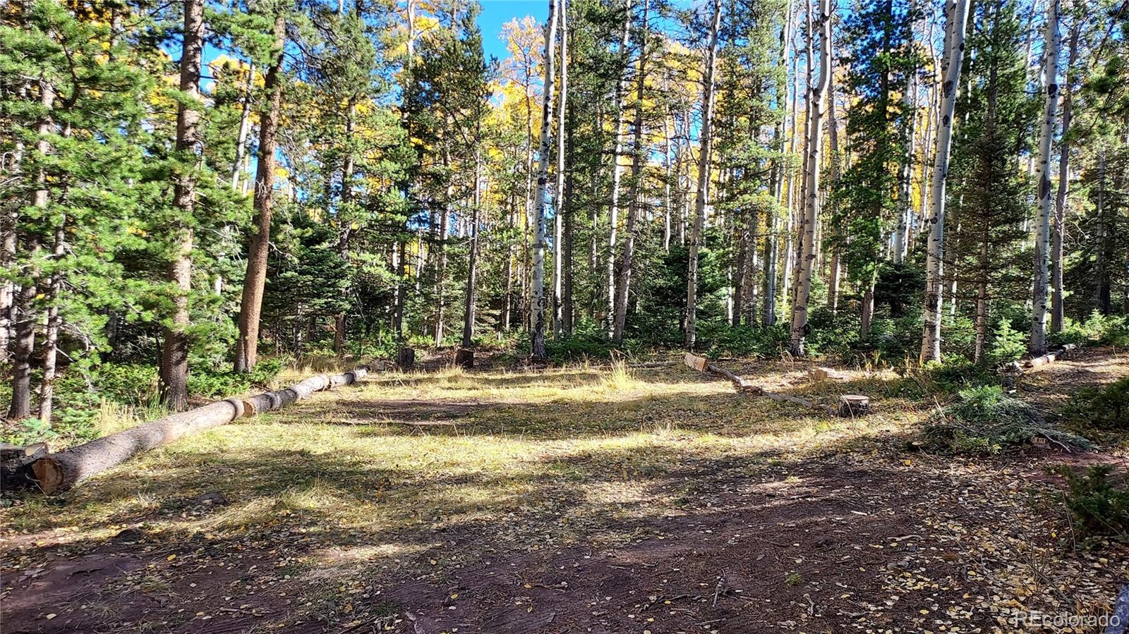 3079 Henderson Drive