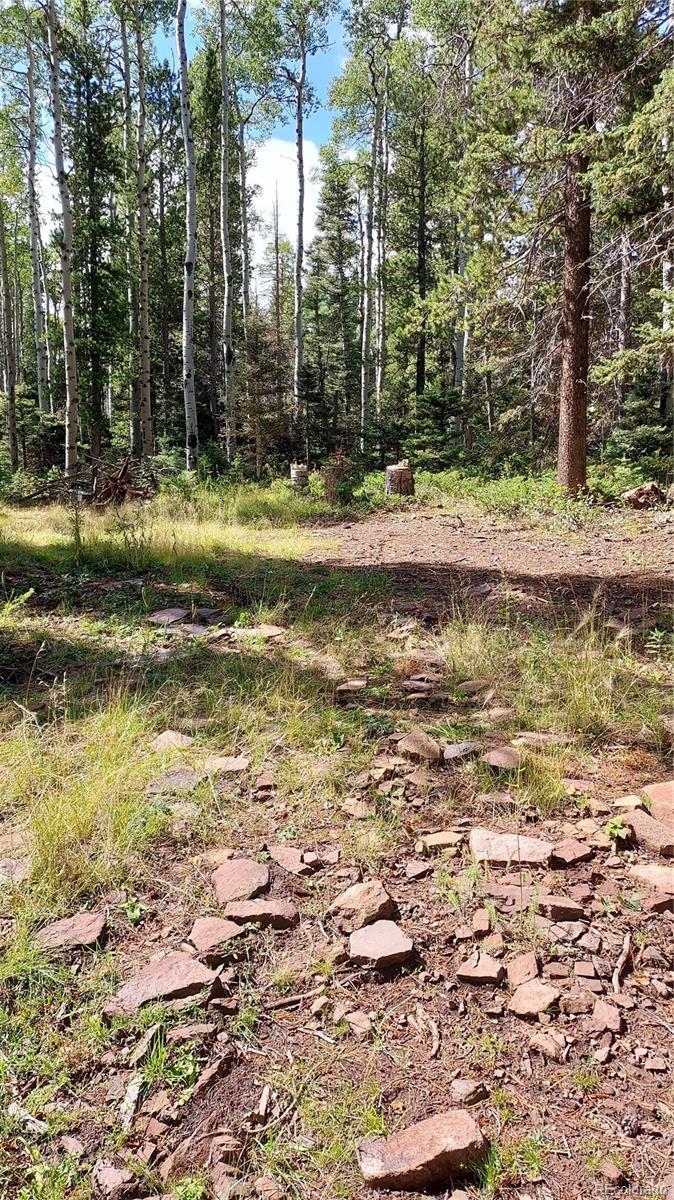 3079 Henderson Drive