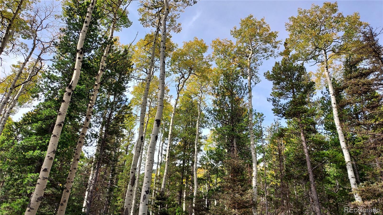 3079 Henderson Drive