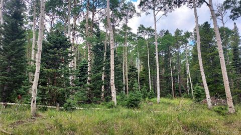 3079 Henderson Drive Fort Garland CO 81133