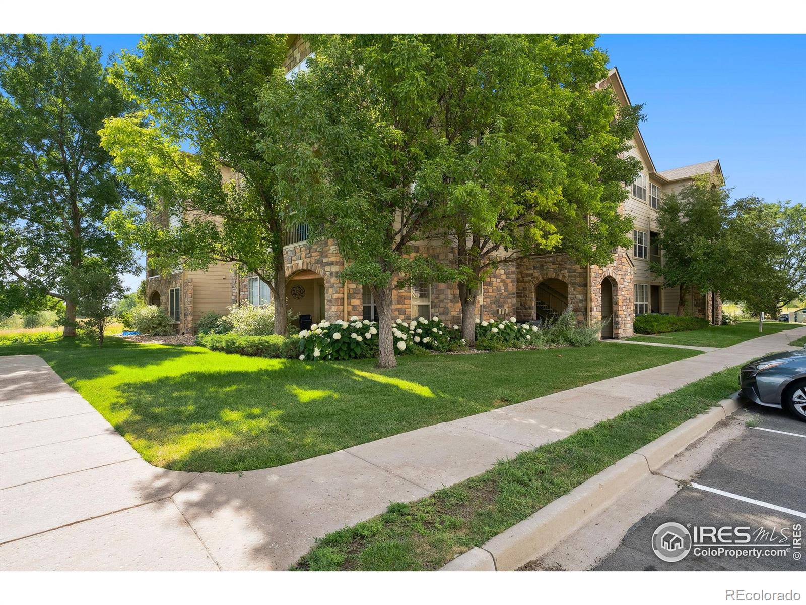 5620 Fossil Creek Parkway 302