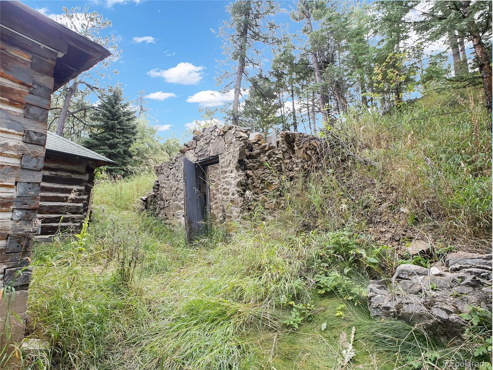 Indian Hills, Colorado 80454, United States, 1 Bedroom Bedrooms, ,Residential,Active,213596