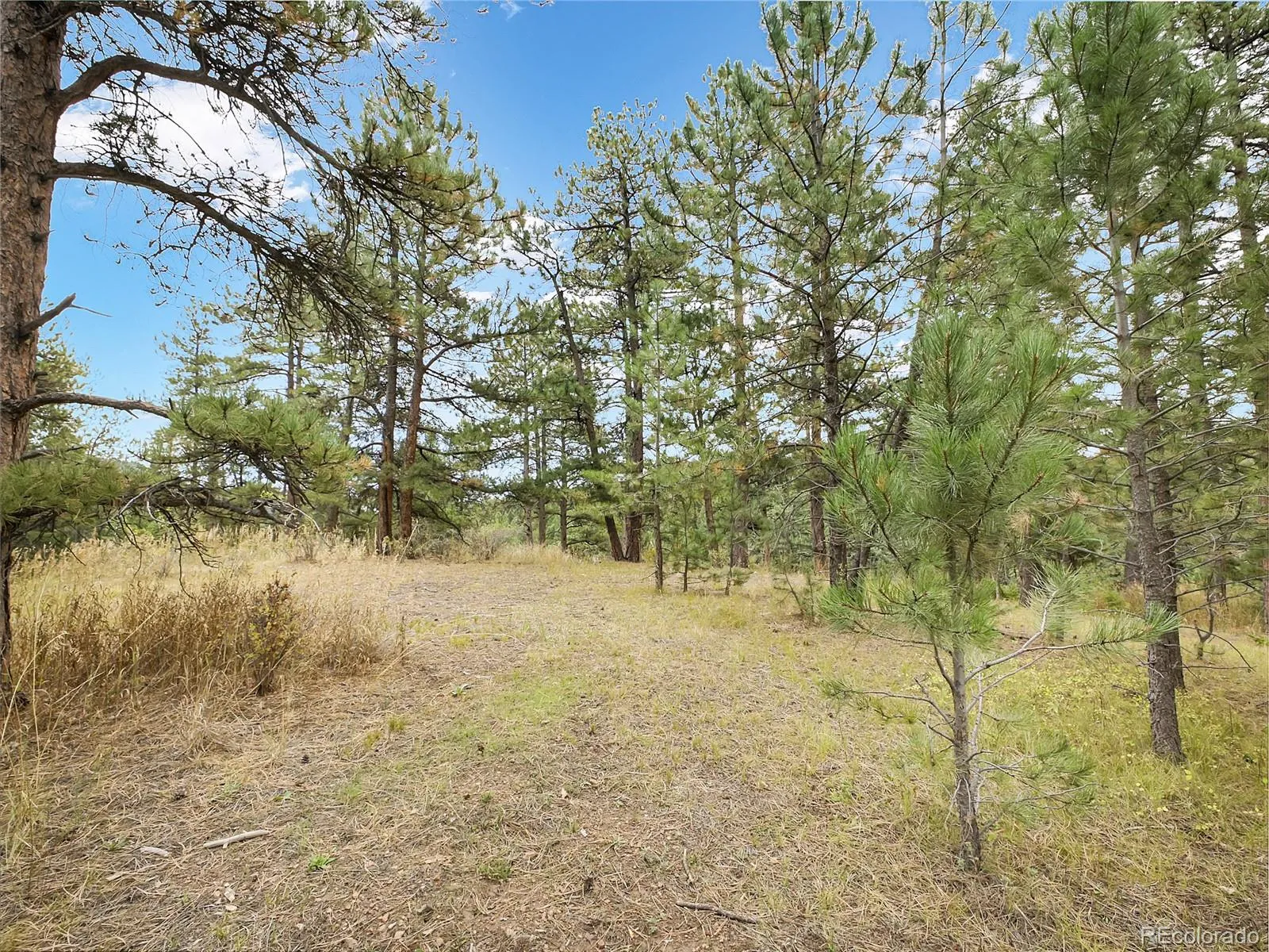 Indian Hills, Colorado 80454, United States, 1 Bedroom Bedrooms, ,Residential,Active,213596