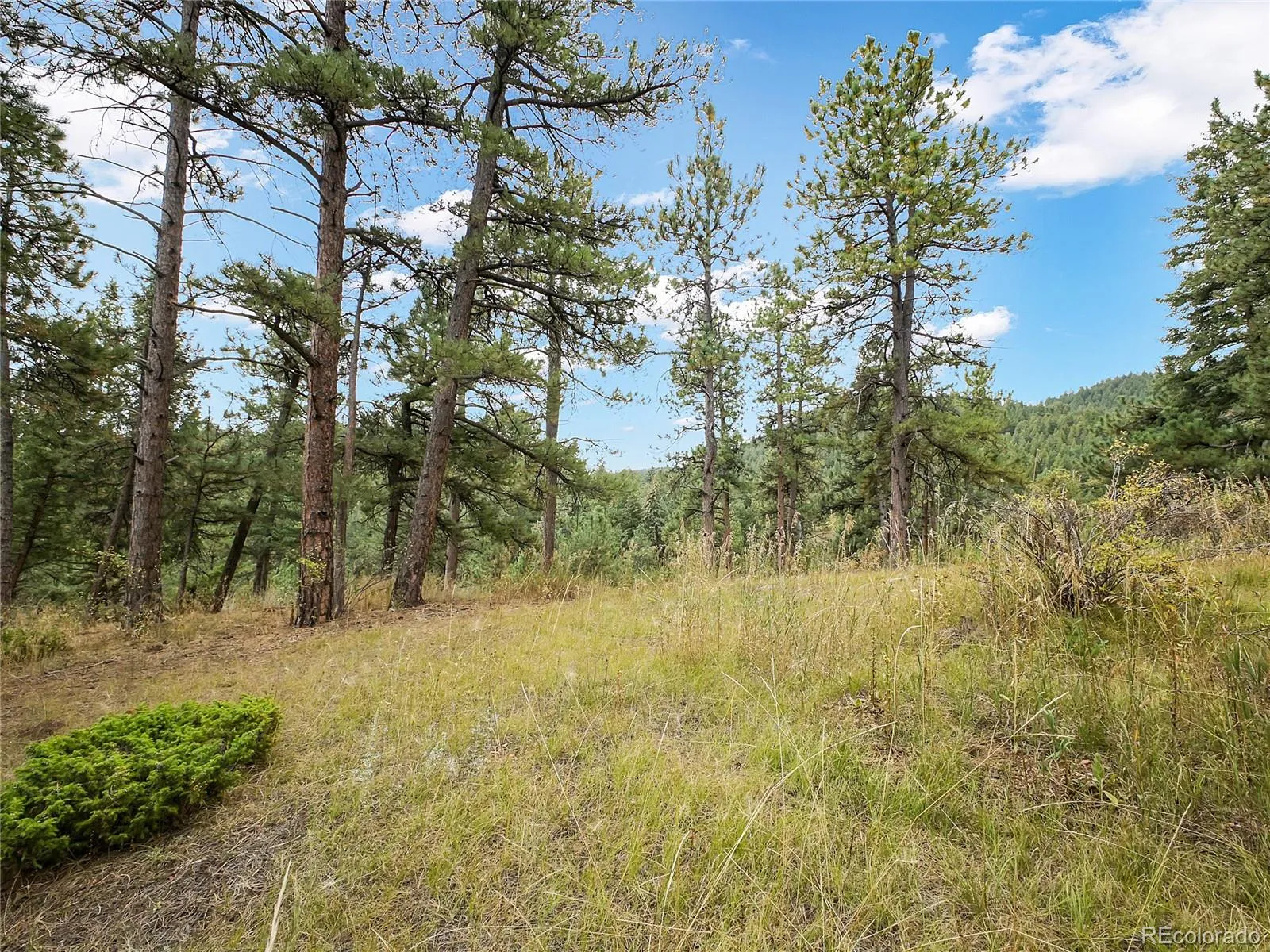 Indian Hills, Colorado 80454, United States, 1 Bedroom Bedrooms, ,Residential,Active,213596