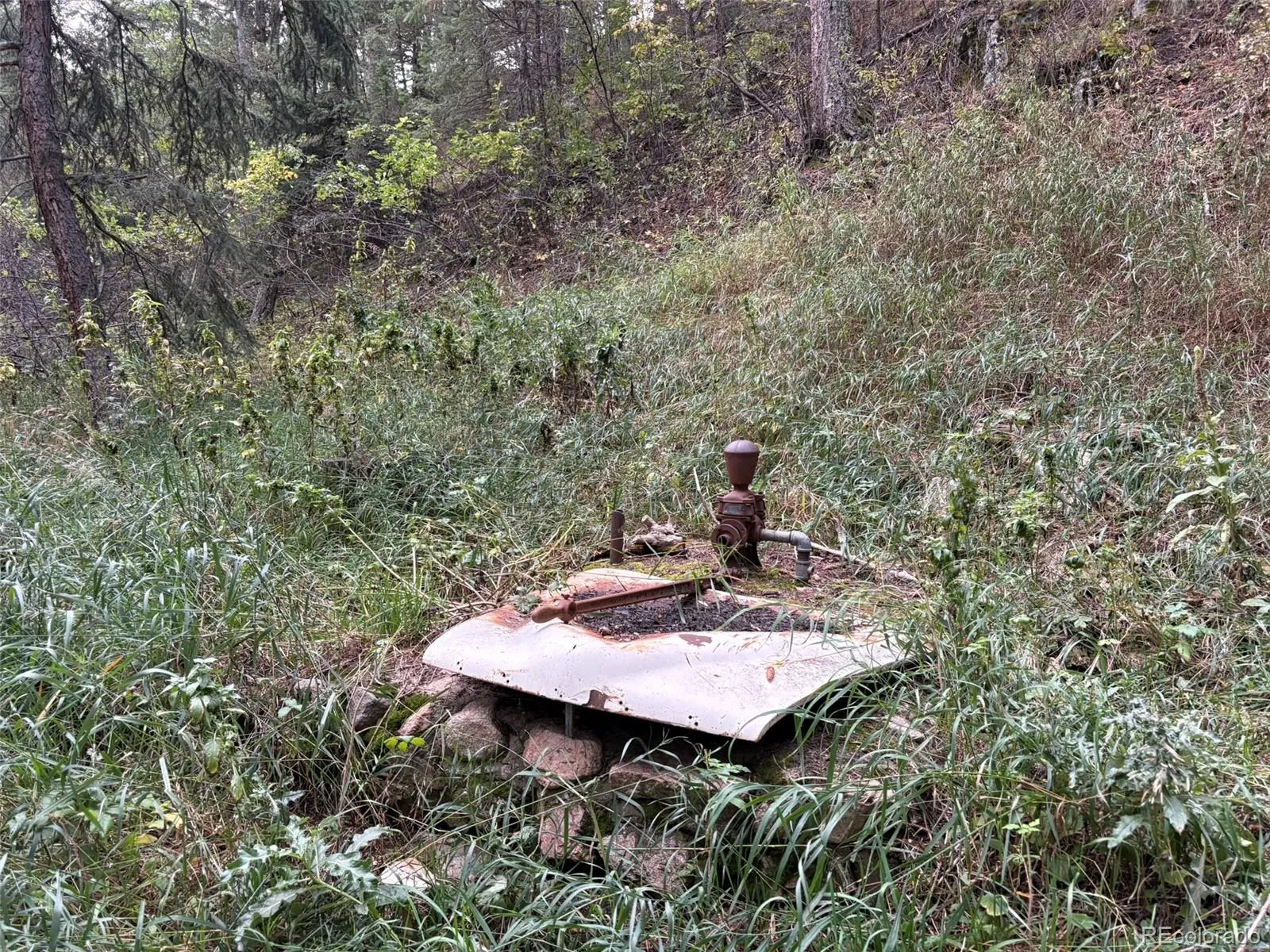 Indian Hills, Colorado 80454, United States, 1 Bedroom Bedrooms, ,Residential,Active,213596