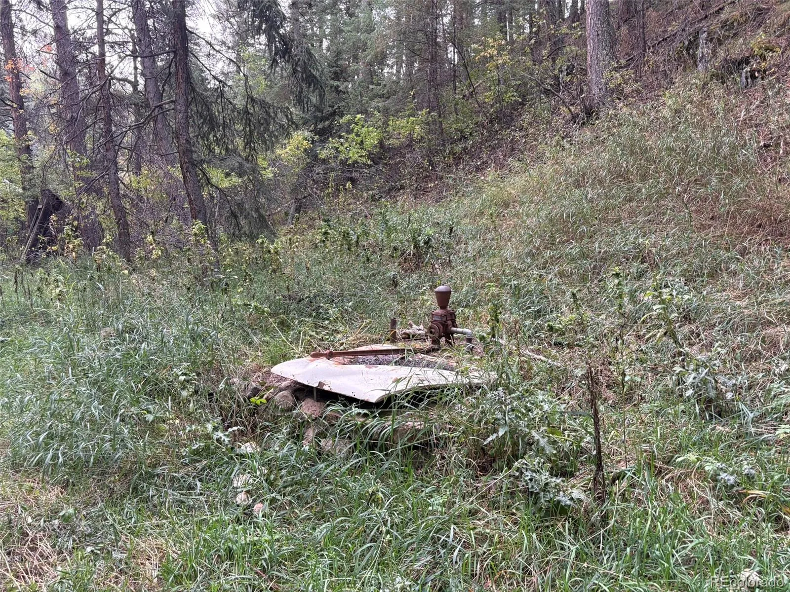 Indian Hills, Colorado 80454, United States, 1 Bedroom Bedrooms, ,Residential,Active,213596