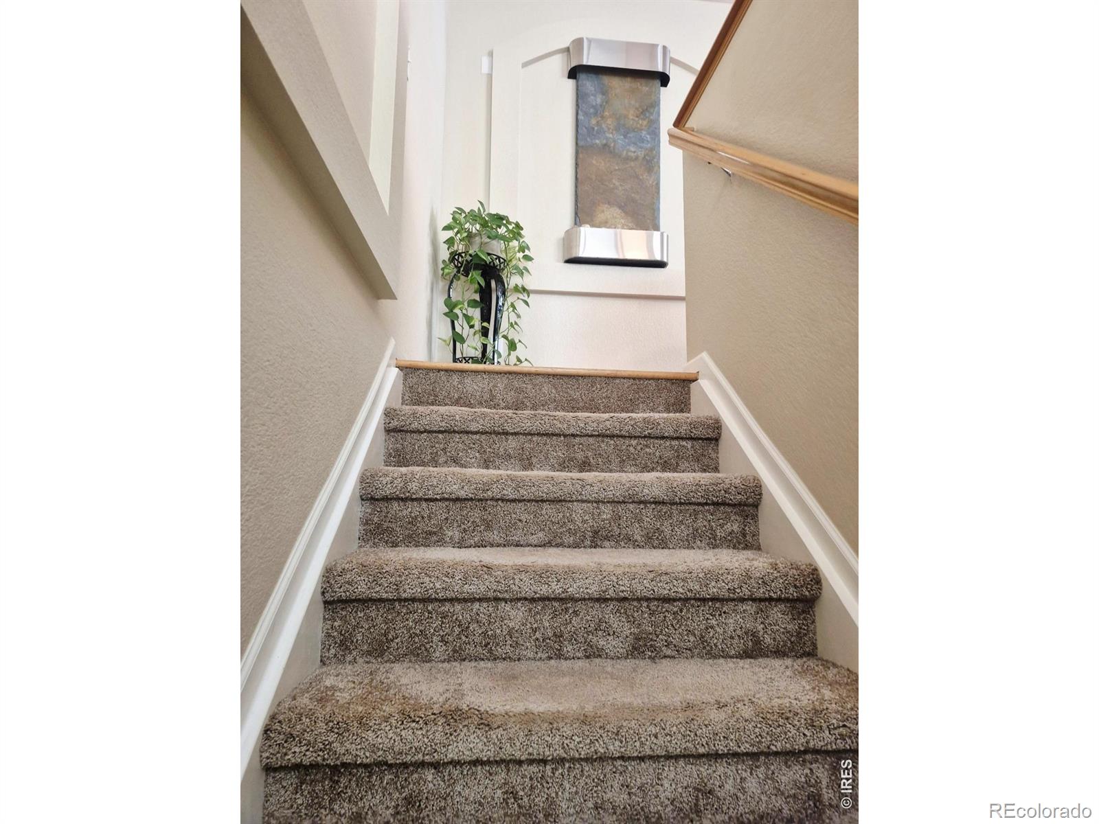 3815 Rock Creek Drive C